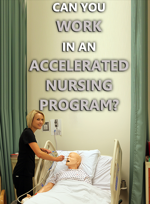 Questions To Ask Nursing Programs