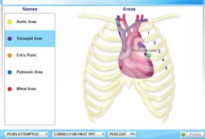 Roseman accelerated nursing heartmatching